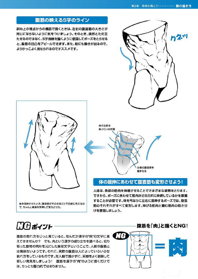 #绘画教程# 男性肌肉画法教程 ​​​​