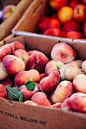 #homemade : An adventure in Rockport: Donut Peaches at the Cape Ann Farmer’s market. Donut peaches are a boon to my South East Asian eyes, especially when they are not sat inside the Villa Market for imported...