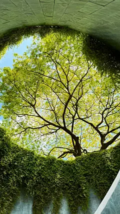 时间是一双眼睛 见喜 见忧 见离别 ​​​
#ins风壁纸#