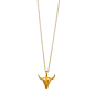 Amazon.com: Dogeared No Bull Bull Skull Reminder 16" Boxed Necklace (gold-plated-silver): Clothing