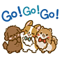 柯基开心go