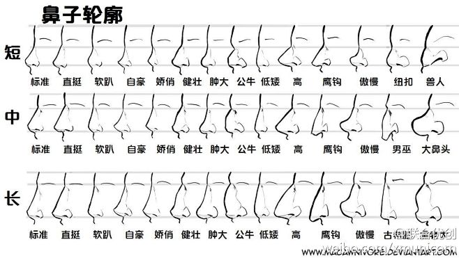 侧面鼻子画法图例