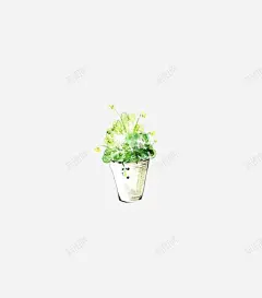 盆栽花