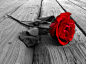 General 1600x1199 wooden surface selective coloring rose flowers