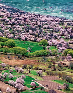 BFcUf_陌上花开采集到美景