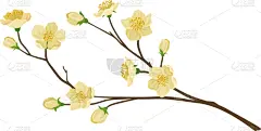 梨,花朵,枝,嫩枝,果树,请柬,清新,壁纸,植物群,小的