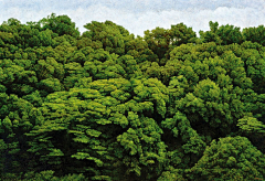 沐风匠雨采集到背景-大气风景画有关