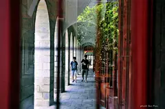 八月处暑，开学季前漫步厦大