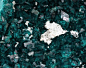 eocene:

Dioptase