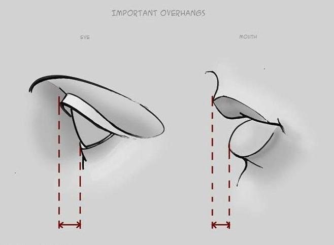 上下眼皮和上下嘴唇的措距～