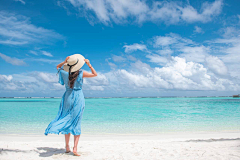 用户qexb3JOO采集到夏日