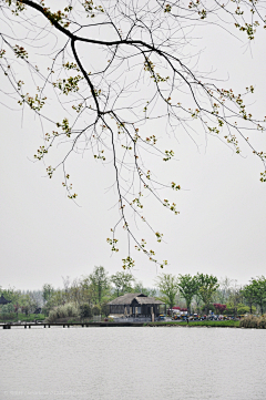 苦海听涛采集到风景旖旎