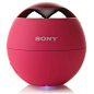 Sony Bluetooth Portable Speaker