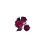 画头饰的时候摸了支小玫瑰，有点糊，可以用来… - 半次元 - ACG爱好者社区