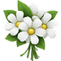 white-flower-bouquet emoji