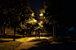 夜行 夜路