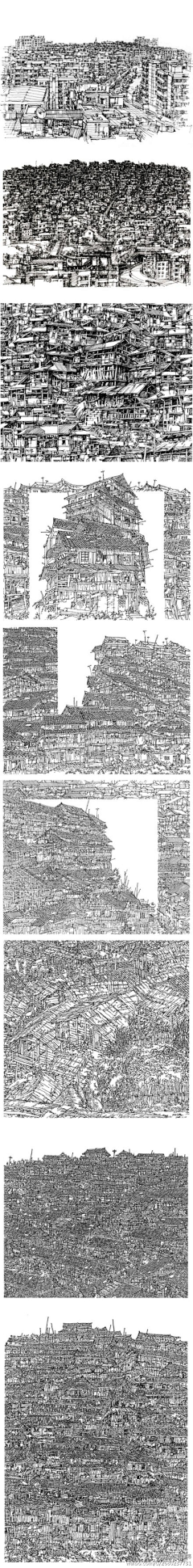 甜叶菊茶采集到画