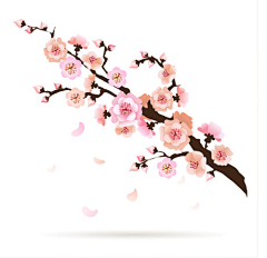 粉色公主88888采集到花