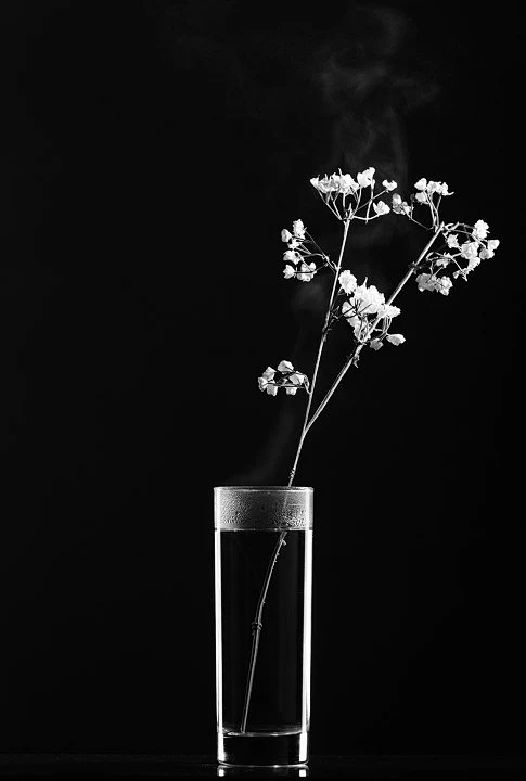 We 're alive - ZJNL小歪 - 图虫摄影网