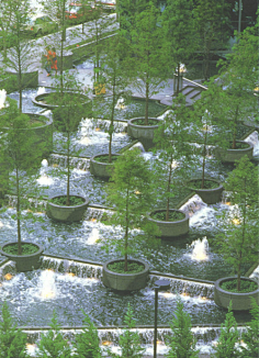 丹凯利-花瓣网|陪你做生活的设计师 | 奖