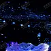 夜景婚纱 【酷图网】夜景婚纱,夜晚婚纱,飘纱飘带,婚纱飘带,飘纱,飘巾,丝绸,布匹,飘逸,红布,红色布料,飘荡红布,飘布,红纱,纱巾,红色飘带,飘带,绸,红绸,飘荡,红色,布料,白色布料,白布,白绸,飘逸的布,华丽布料,高端飘逸布料,婚礼婚纱飘纱,婚纱素材,纱网,婚纱布料,裙摆,裙摆素材