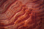 The Wave - A sea of sand : Located in Arizona, near its northern border with Utah, The Wave is a sandstone rock formation also referred to as Coyote Butte North. Water and wind have carved the entire area and have contributed to the creation of unbelievab