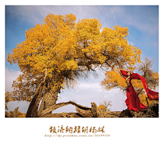 洛时`采集到场景