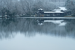 烟雨兰花采集到水墨意境