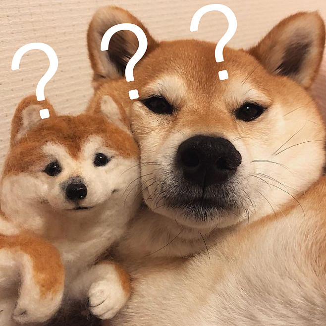 表情包