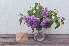花瓶里的一束花
