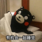 熊本熊表情包_360图片