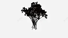 满天星高清素材 满天星 满天星剪影 花卉剪影 免抠png 设计图片 免费下载