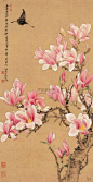 51 Trendy Flowers Print Pattern Cherry Blossoms#blossoms #cherry #flowers #pattern #print #trendy