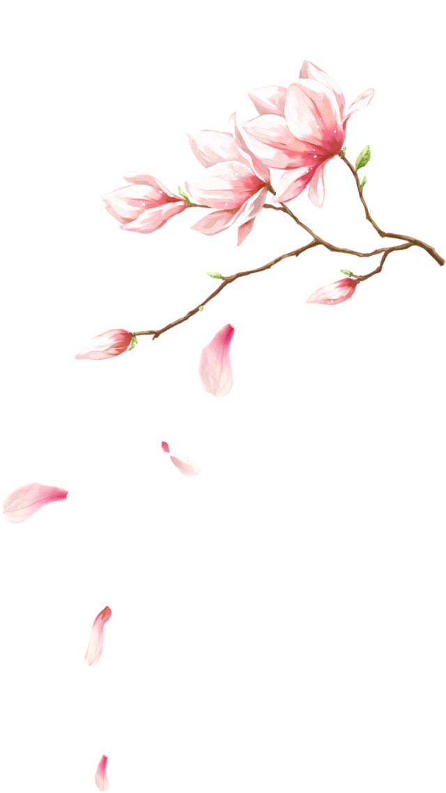 来自相册
