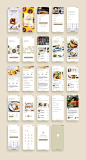 美食食谱App UI Kit  -  3