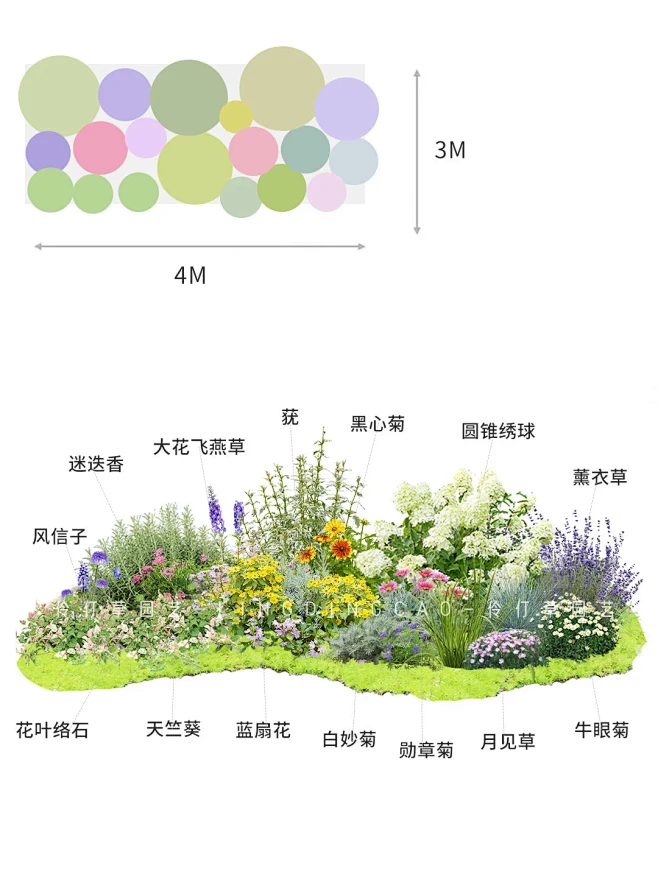 混搭风格植物组合，错过等于错过几个亿 - 小红书图片_景观/花境图片素材-花瓣网