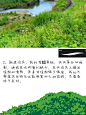 蜜图图片提取