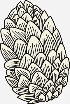 手绘线条卡通松果_新图网 https://ixintu.com 手绘果子 坚果 矢量松果 手绘松果 手绘 线条
