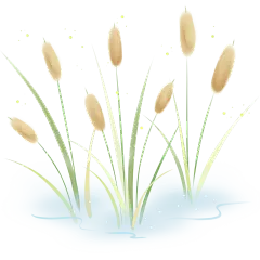 风光系列插画风水彩芦苇草丛贴纸
