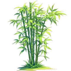 植物通用绿色清新插画竹林元素素材