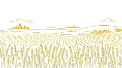 风光系列扁平风麦田橙色线稿