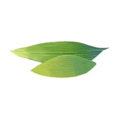 卡通感端午节粽叶元素贴纸