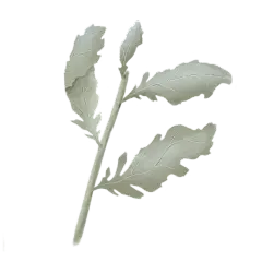 手绘-水彩复古干花植物元素贴纸3