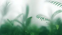 常规内容-植物系列朦胧感棕榈叶背景