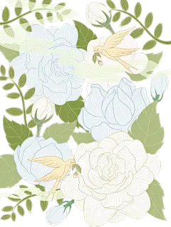 植物通用插画无缝茉莉花朵组合元素素材