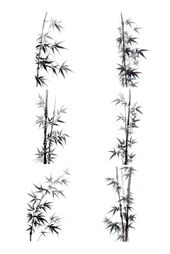 植物通用中国风插画水墨竹子元素素材