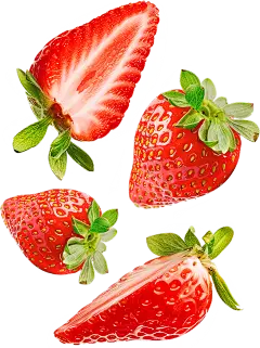 夏季果蔬插画多切件掉落草莓通用元素素材