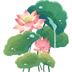 植物系列金色描边插画荷花荷叶元素贴纸