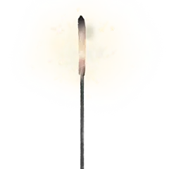 烟花贴纸