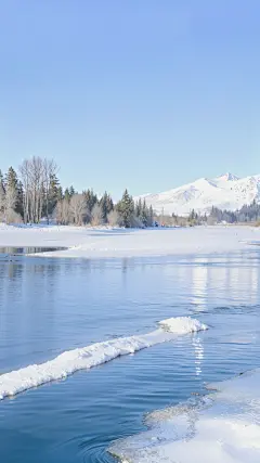 冬天实景感树林雪景背景